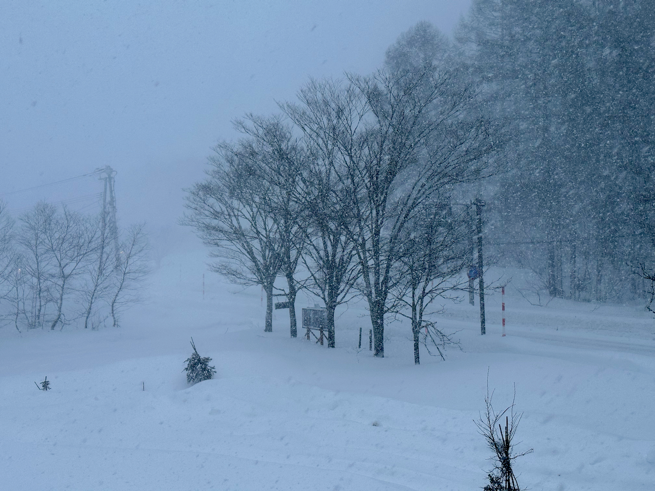 Fukushima Inawashiro Snow Paradise 1